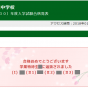 合格発表形式